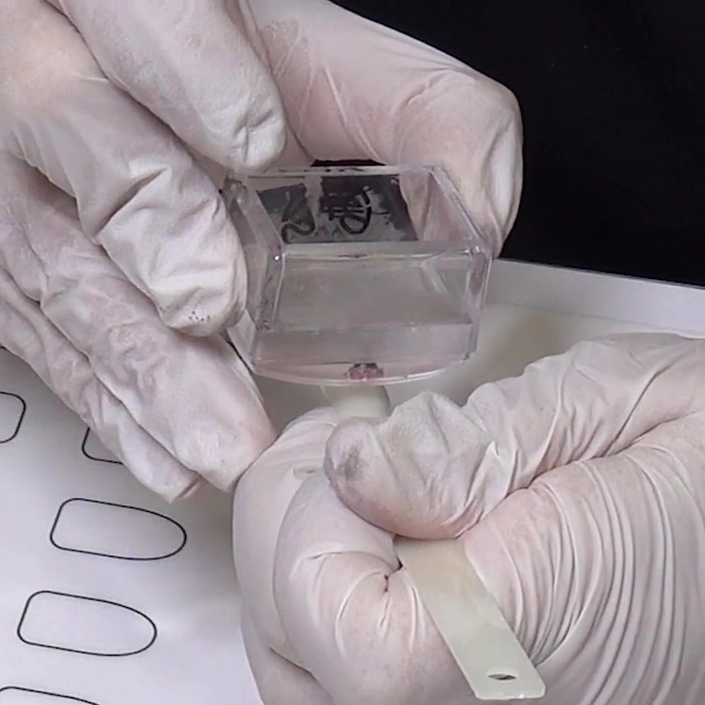 A clear stamper is aligned over a practice tip before the colored design is pressed into place