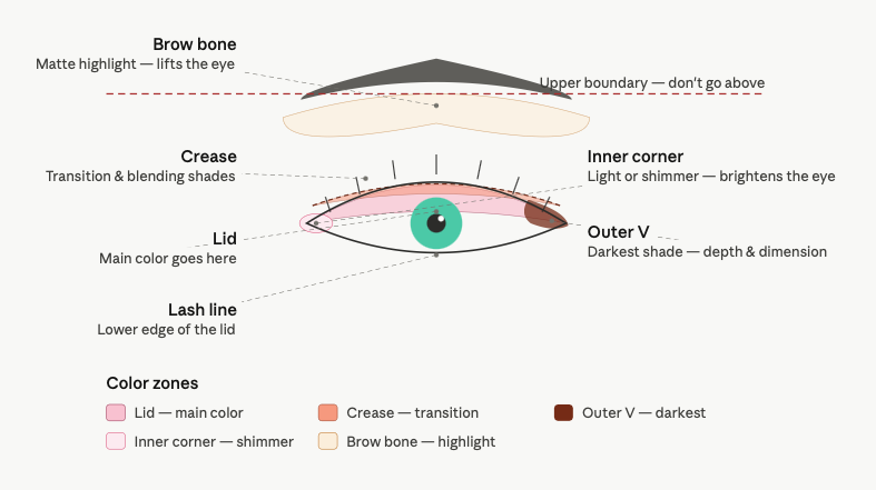 How to Apply Eyeshadow for Beginners